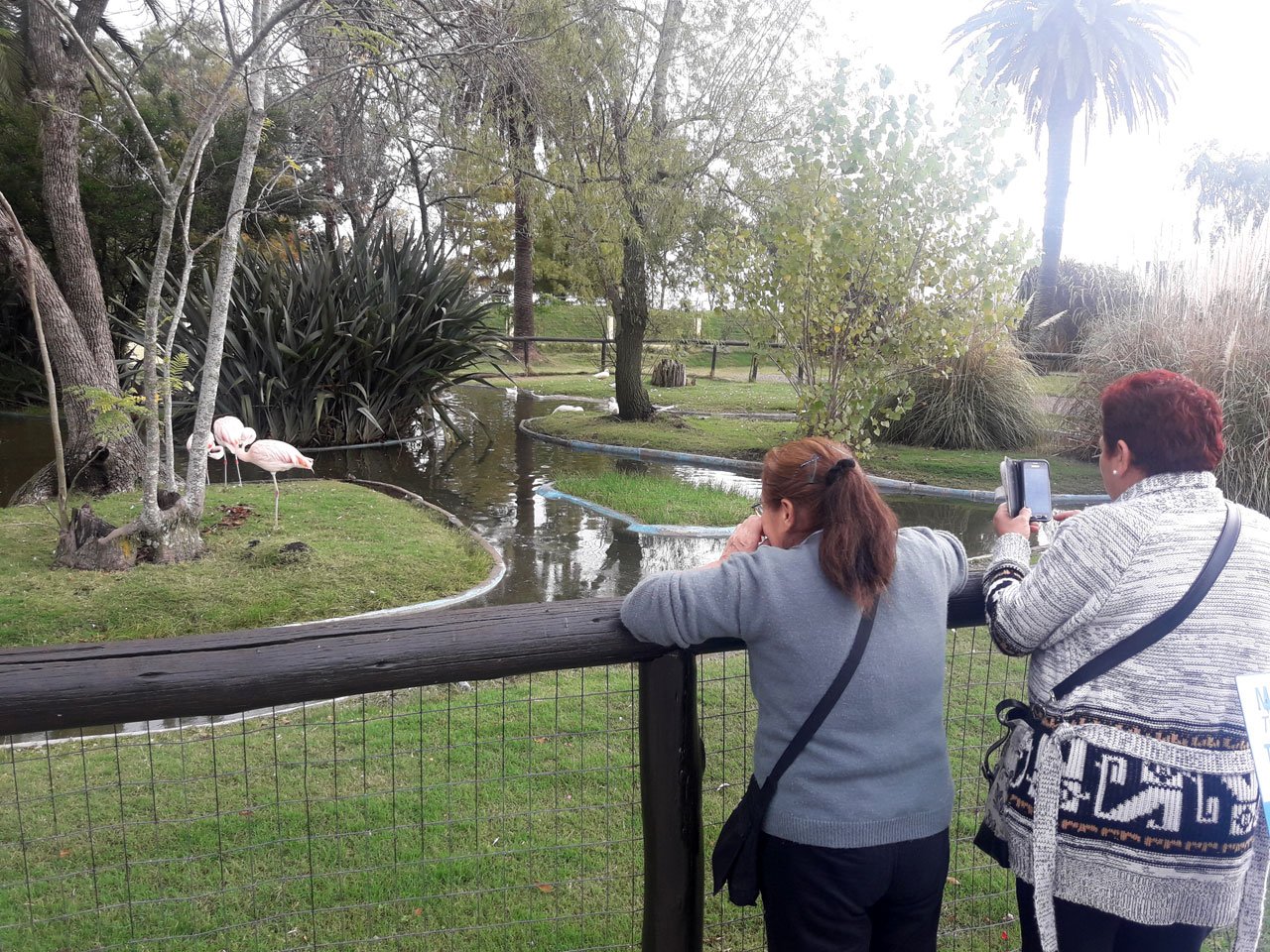 Excursión a Durazno